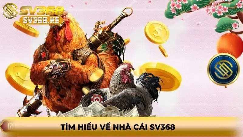 Tìm hiểu về nhà cái SV368